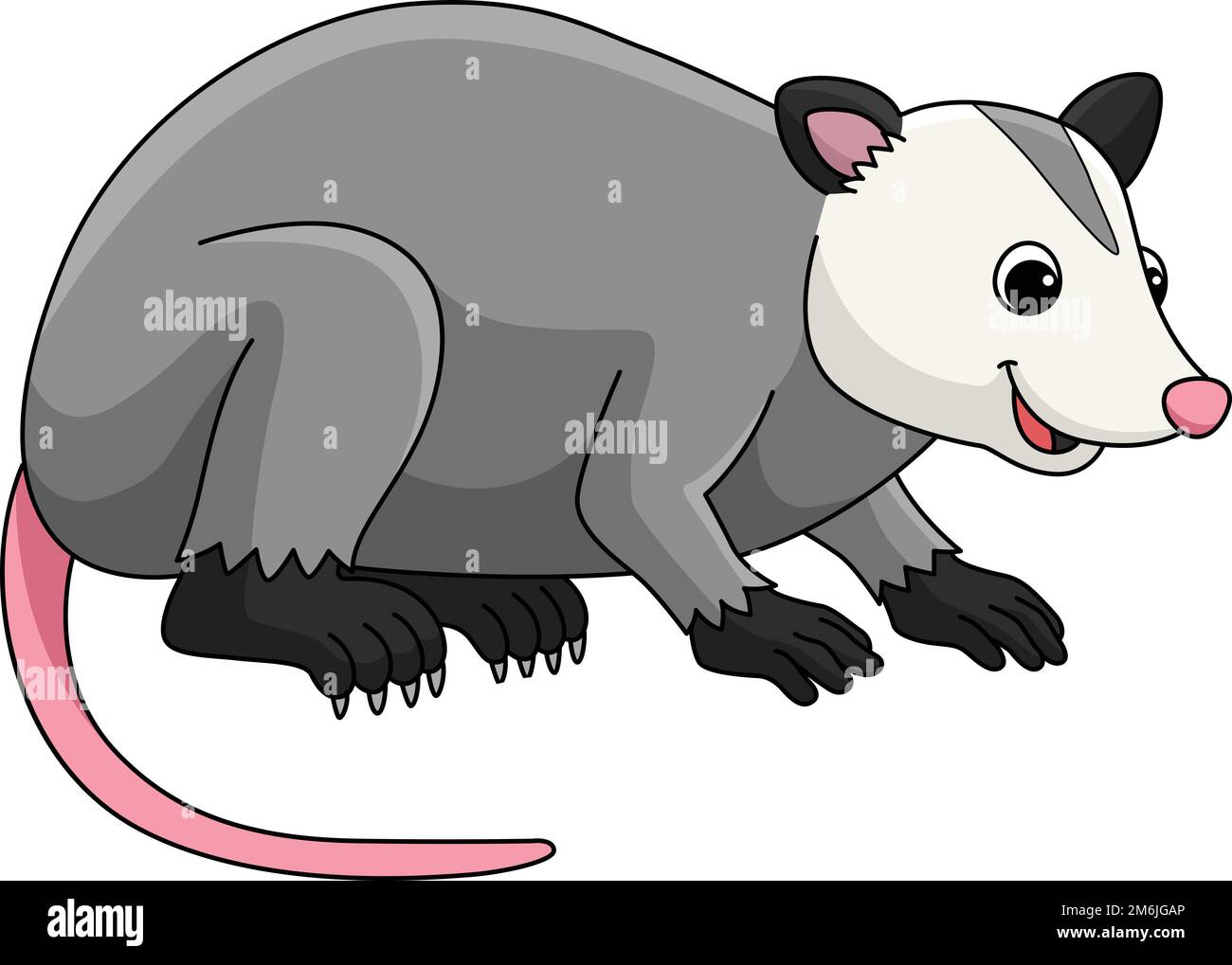 Dessin animé d'un animal d'Opossum, couleur Clipart Illustration de Vecteur
