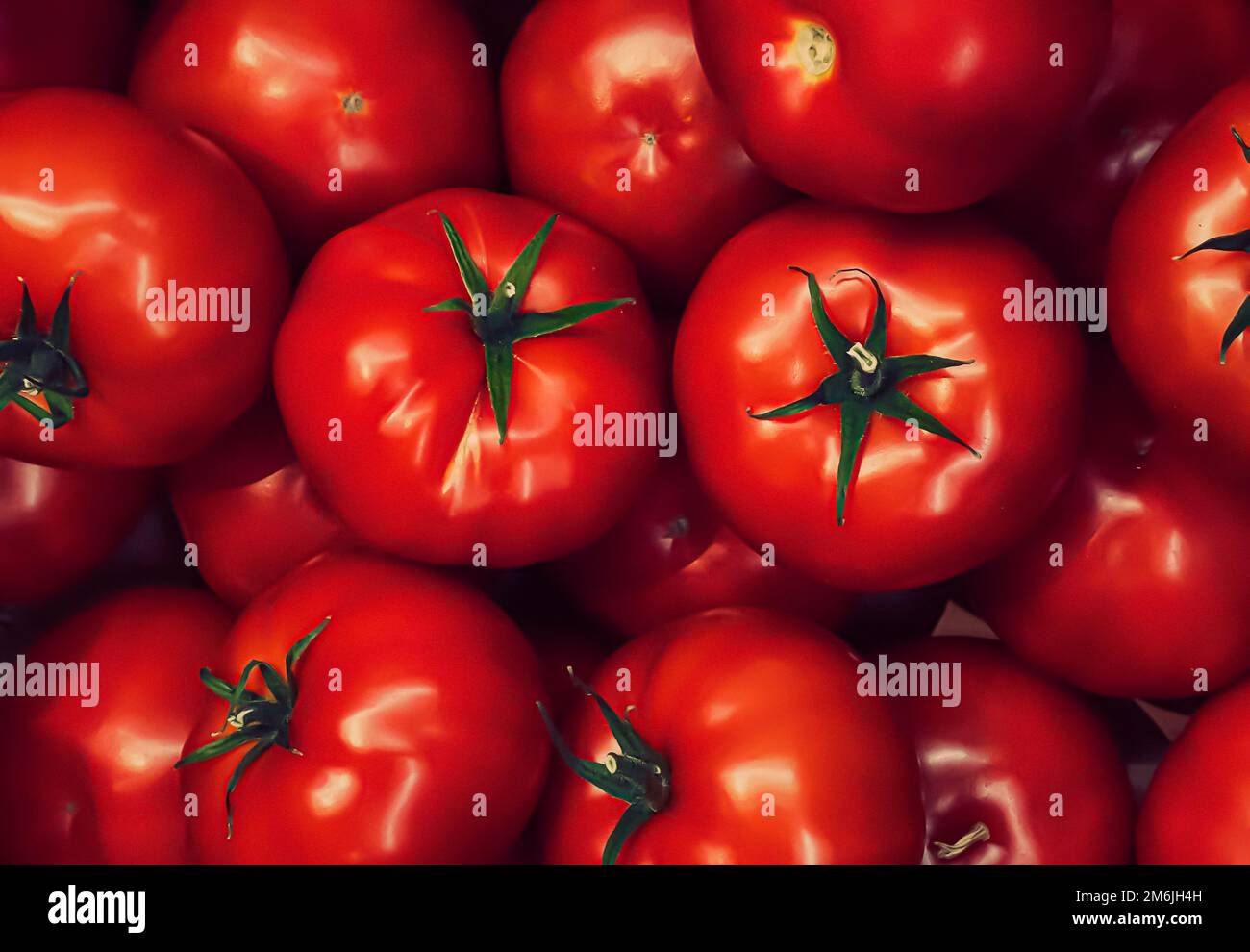Les tomates comme un fond alimentaire biologique sain, les légumes frais sur le marché agricole, le régime alimentaire et l'agriculture Banque D'Images