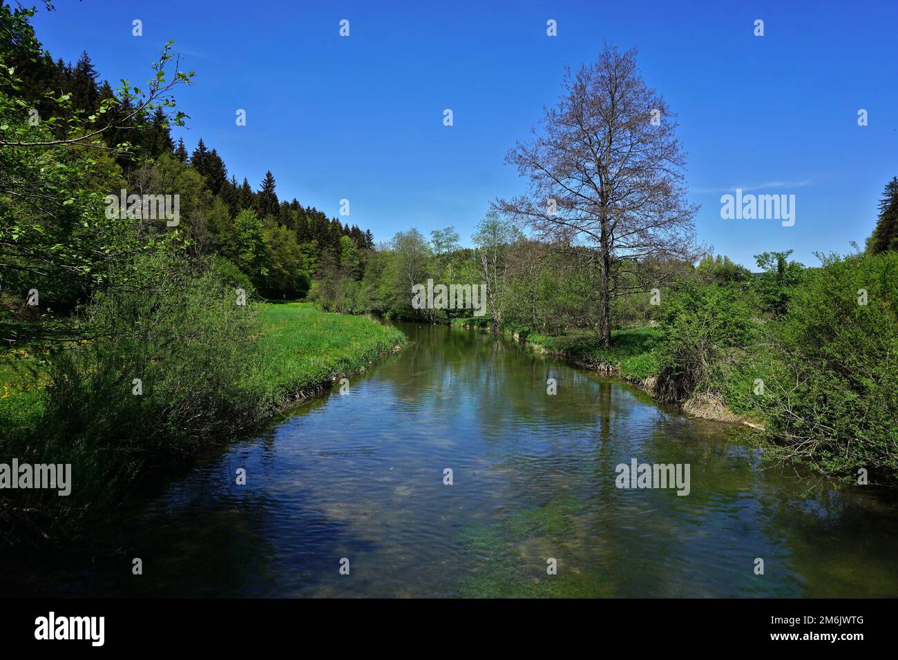 Vallée de Lauchert, le Lauchert près de Gammertingen, Swabian Alb, allemagne Banque D'Images