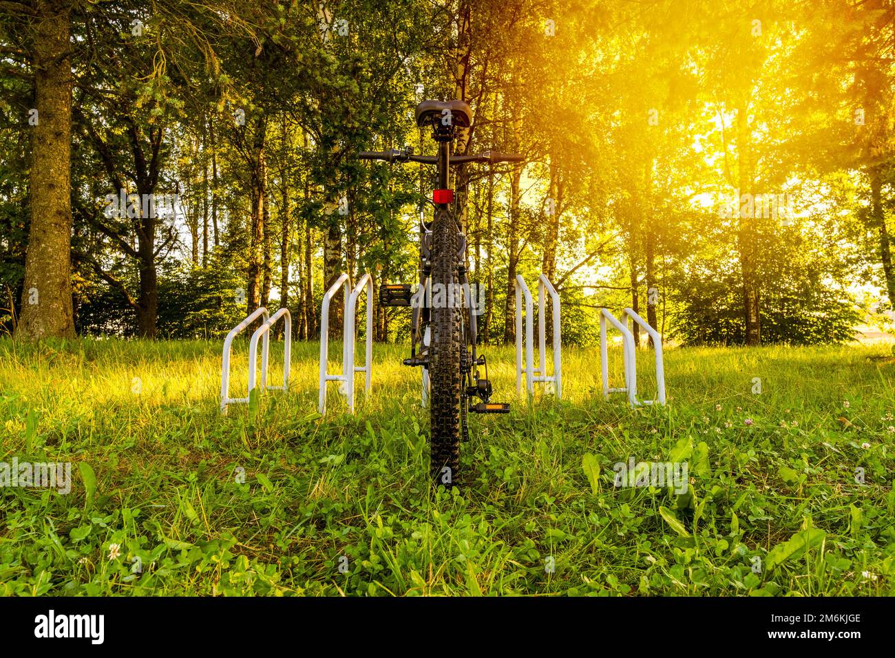 Vélo stationné dans une forêt Banque D'Images