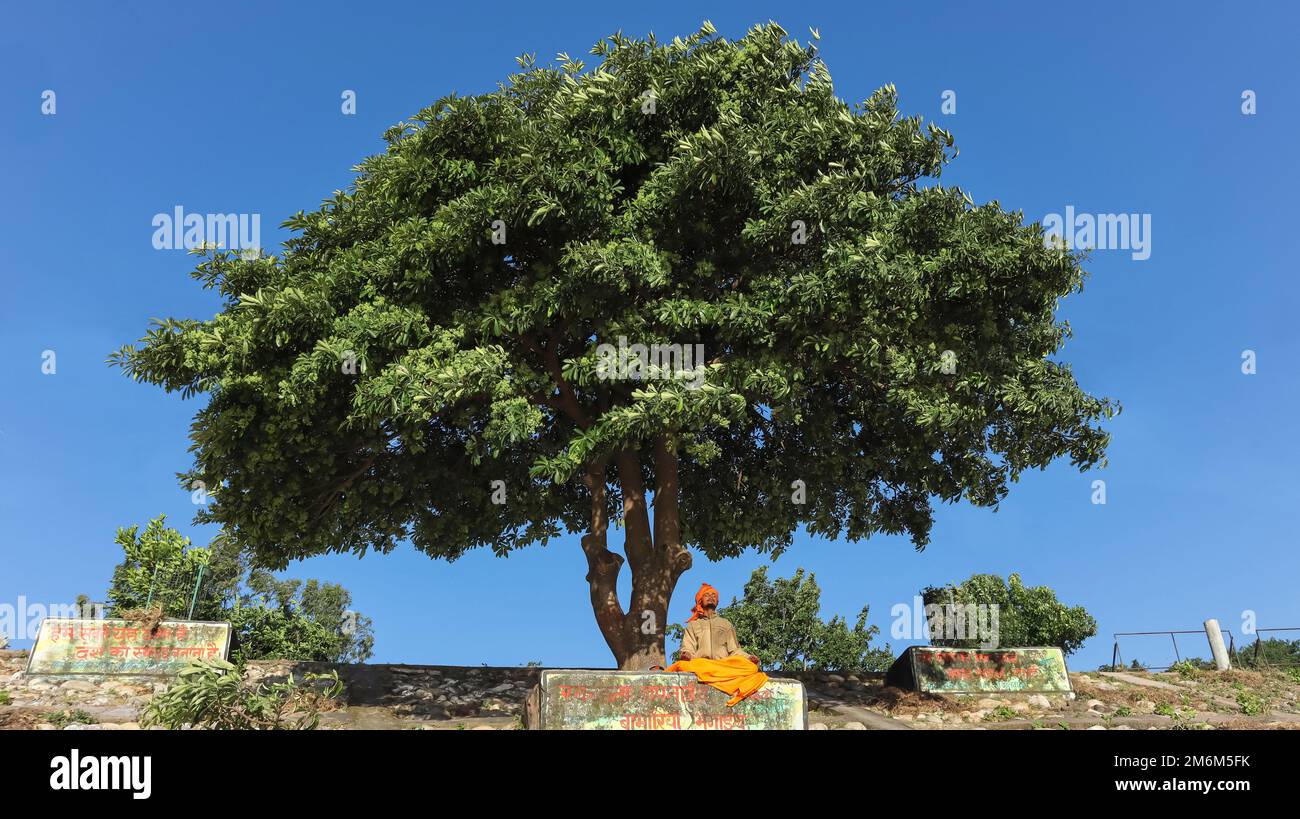 INDE, UTTARAKHAND, RISHIKESH, octobre 2022, Homme méditant sous l'arbre près de Ganga Ghat Banque D'Images