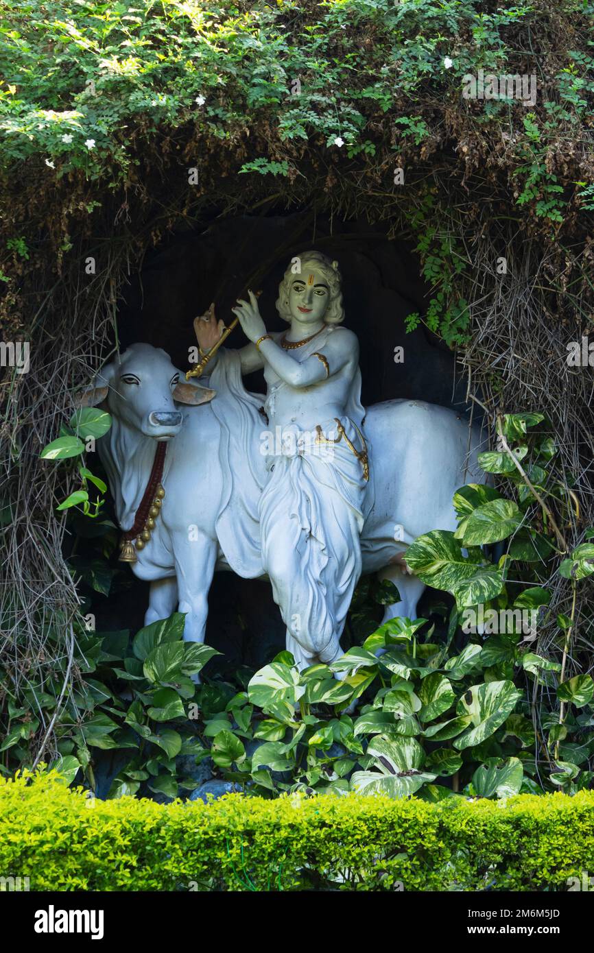 Statue du Seigneur Krishna avec Cow, Rishikesh, Uttarakhand, Inde. Banque D'Images