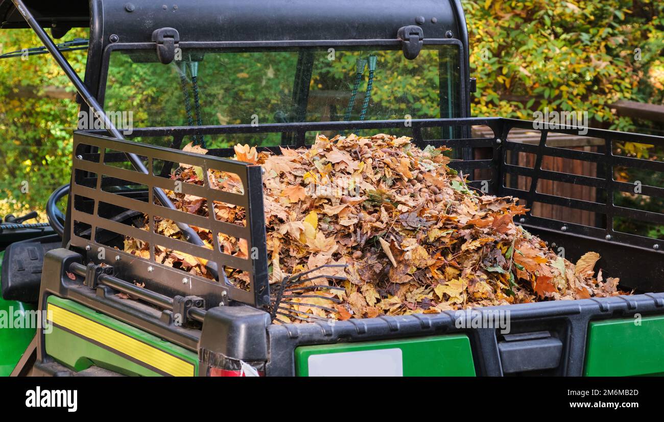 L'automne travaille dans le parc de tracteur de remorque avec le ventilateur nettoie une pelouse de parc de ville Banque D'Images