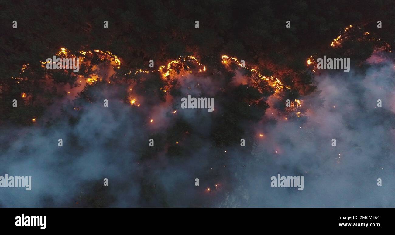 Vue panoramique aérienne d'un feu de forêt la nuit, forte fumée cause ...