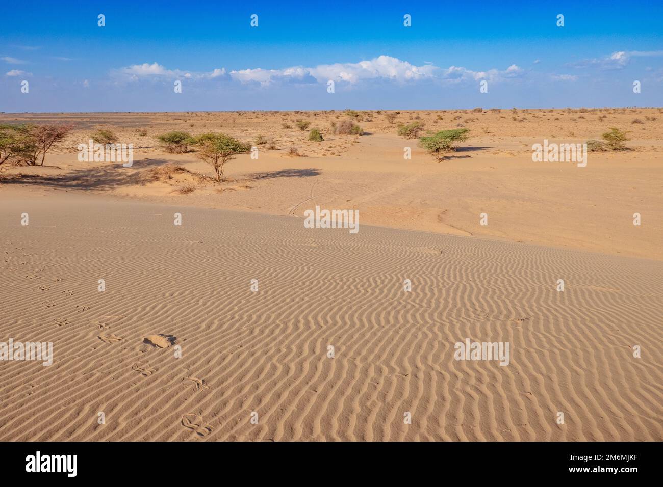 Vue panoramique sur les dunes de sable de North Horr dans le comté de Marsabit, Kenya Banque D'Images