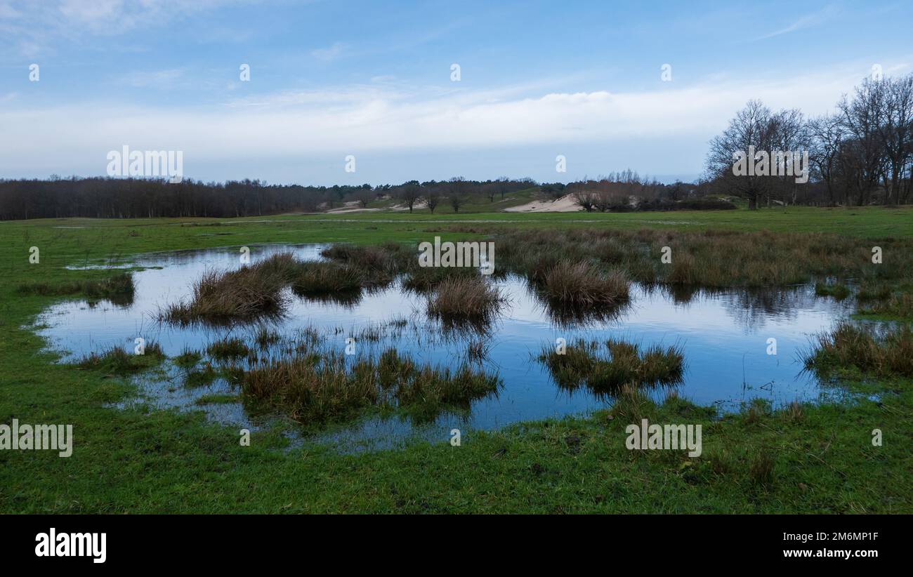 panorama d'un pré vert avec de l'eau dans la réserve naturelle oranjezon, walcheren, zélande, pays-bas Banque D'Images