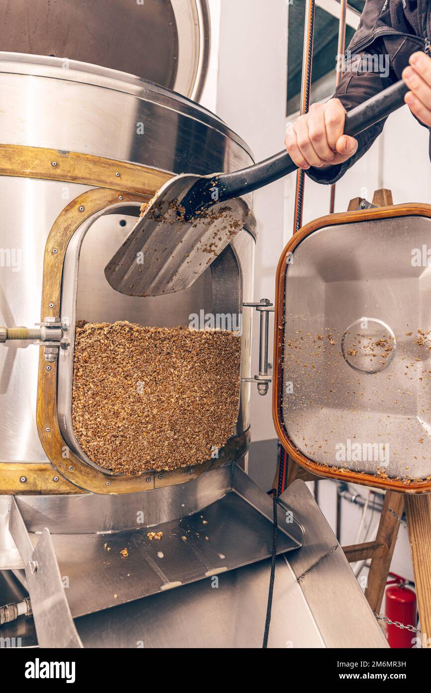 L'écrasement de graines de malt broyé pour la préparation du malt. Processus de grain d'orge de brasserie. Banque D'Images