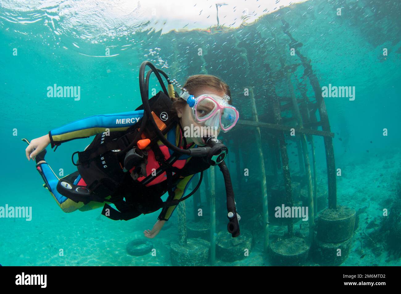 Fille de 9 ans plongée par jetée, site de plongée post 1, île de Menjangan, Buleleng, Bali, Indonésie Banque D'Images