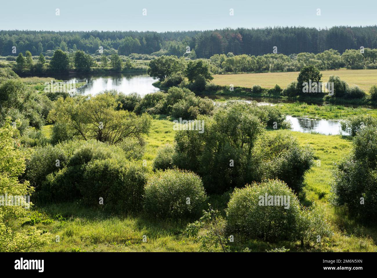 Paysage pastoral sur les rives de la rivière en Biélorussie Banque D'Images