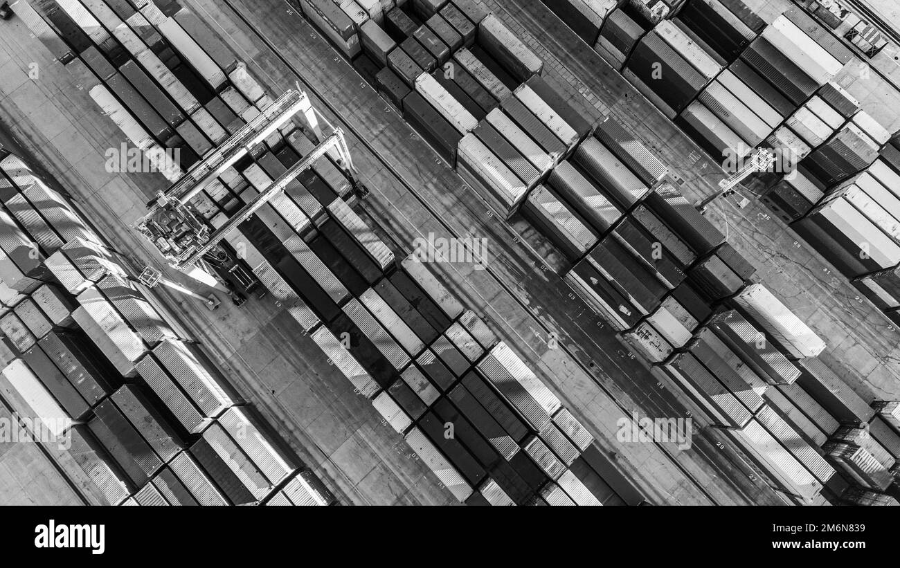 Triste femme couché sur un canapé avec un chien, en utilisant un smartphone dans les mains, attendre l'appel ou le texte d'un ami, se sent déprimé.Les femmes réfléchis pensent aux problèmes de relations.Santé mentale, concept de solitude. Banque D'Images