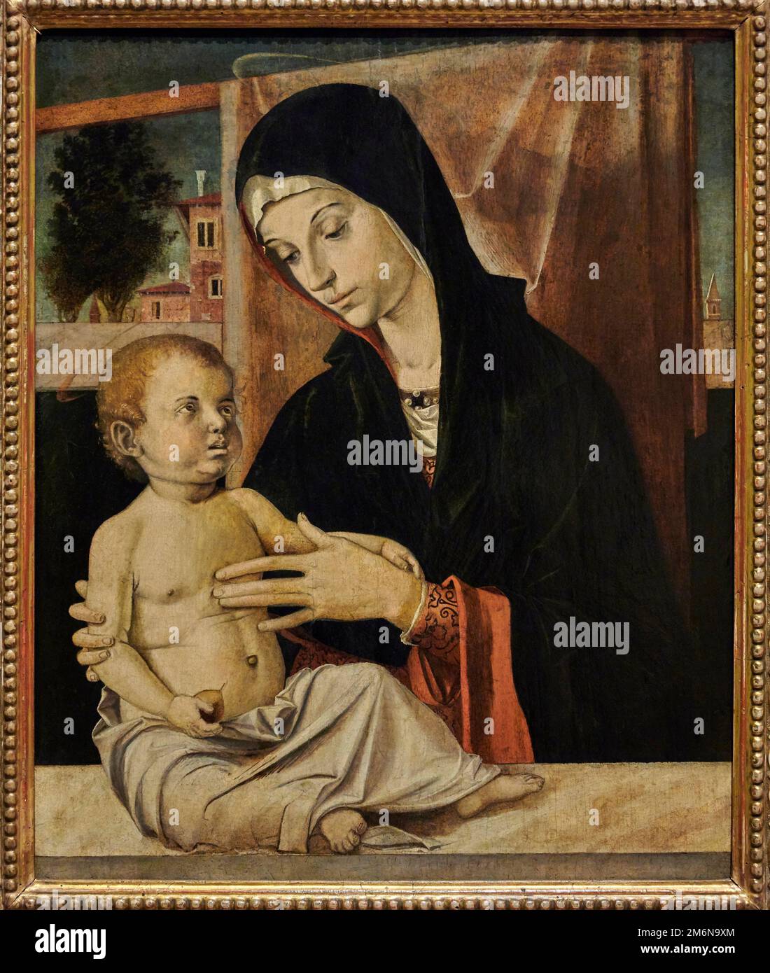 Madonna col Bambino - olio su tavola - Bartolomeo Cincani detto Montagna - 1490 - Milano, Pinacoteca del Castello Sforzesco Banque D'Images