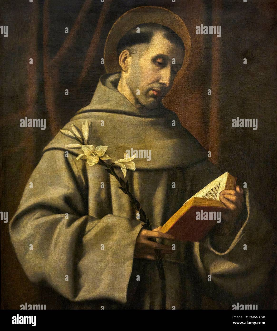 S. Antonio da Padova - olio su tela - Alessandro Bonvicino detto Moretto - 1530 - Milano, Pinacoteca del Castello Sforzesco Banque D'Images