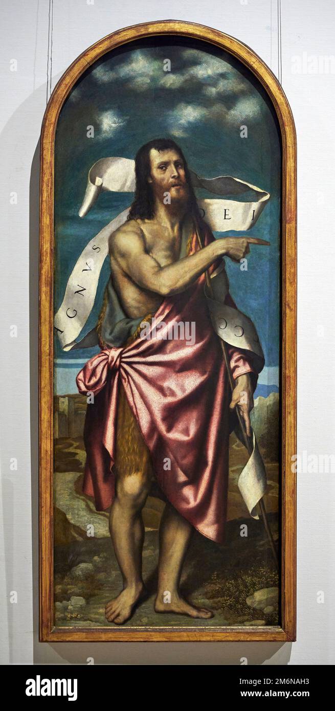 S. Giovanni Battista - olio su tavola - Alessandro Bonvicino detto Moretto - 1545 - Milano, Pinacoteca del Castello Sforzesco Banque D'Images