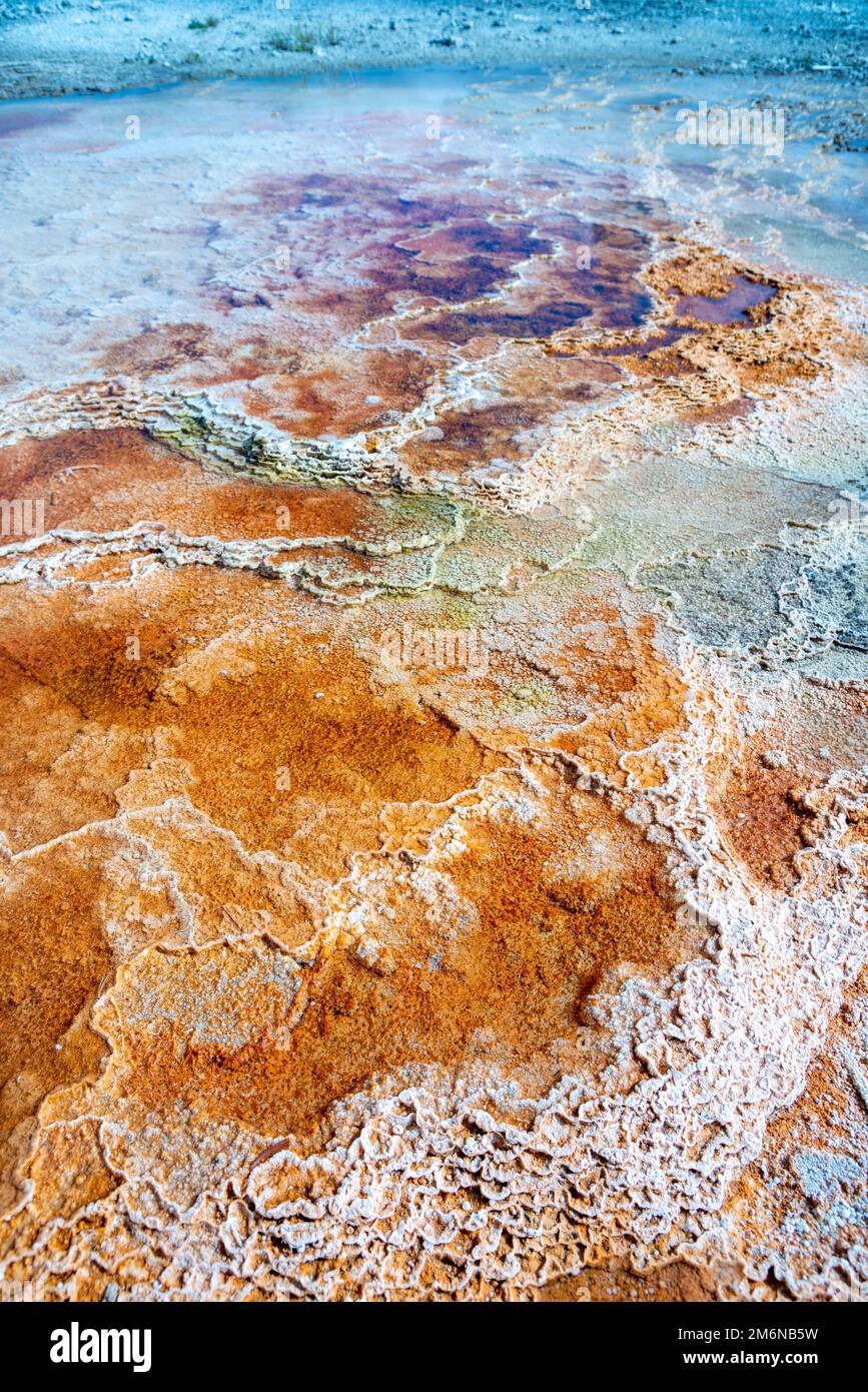 Paysage de Mammoth Hot Springs dans le parc national de Yellowstone Banque D'Images