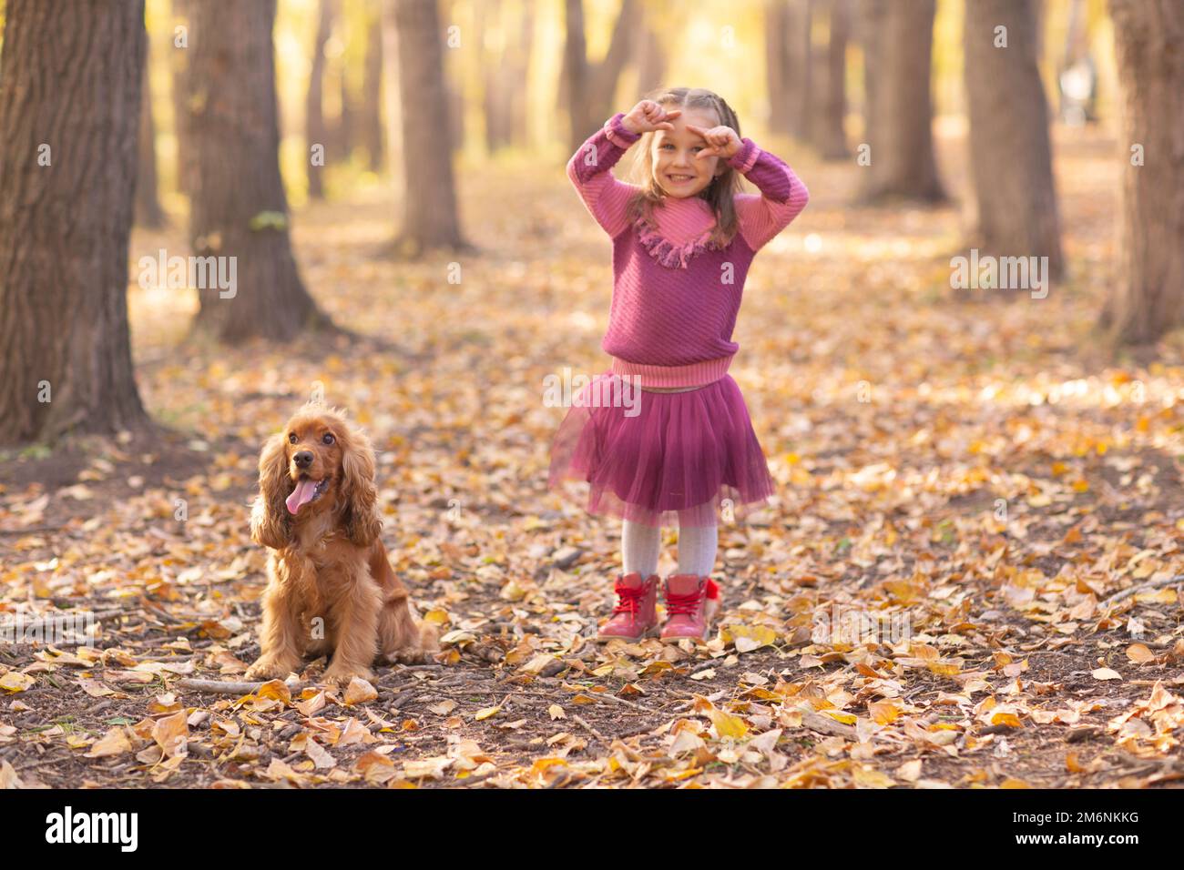 Jolie petite fille avec chien dans le parc d'automne avec orange et les feuilles de couleur jaune Banque D'Images