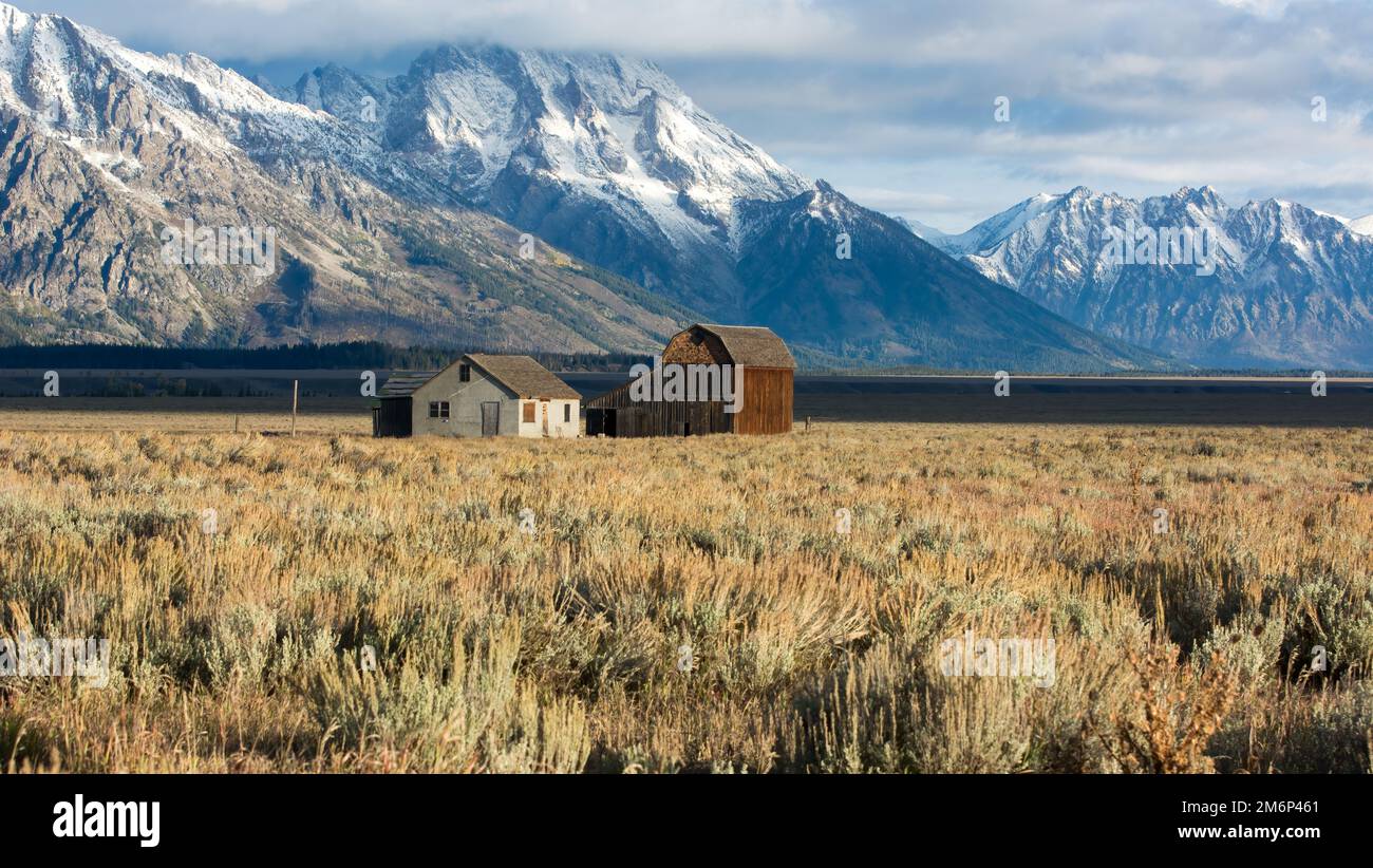 JACKSON, WYOMING/USA - 30 SEPTEMBRE : Avis de Mormon Row près de Jackson Wyoming le 30 septembre 2013 Banque D'Images