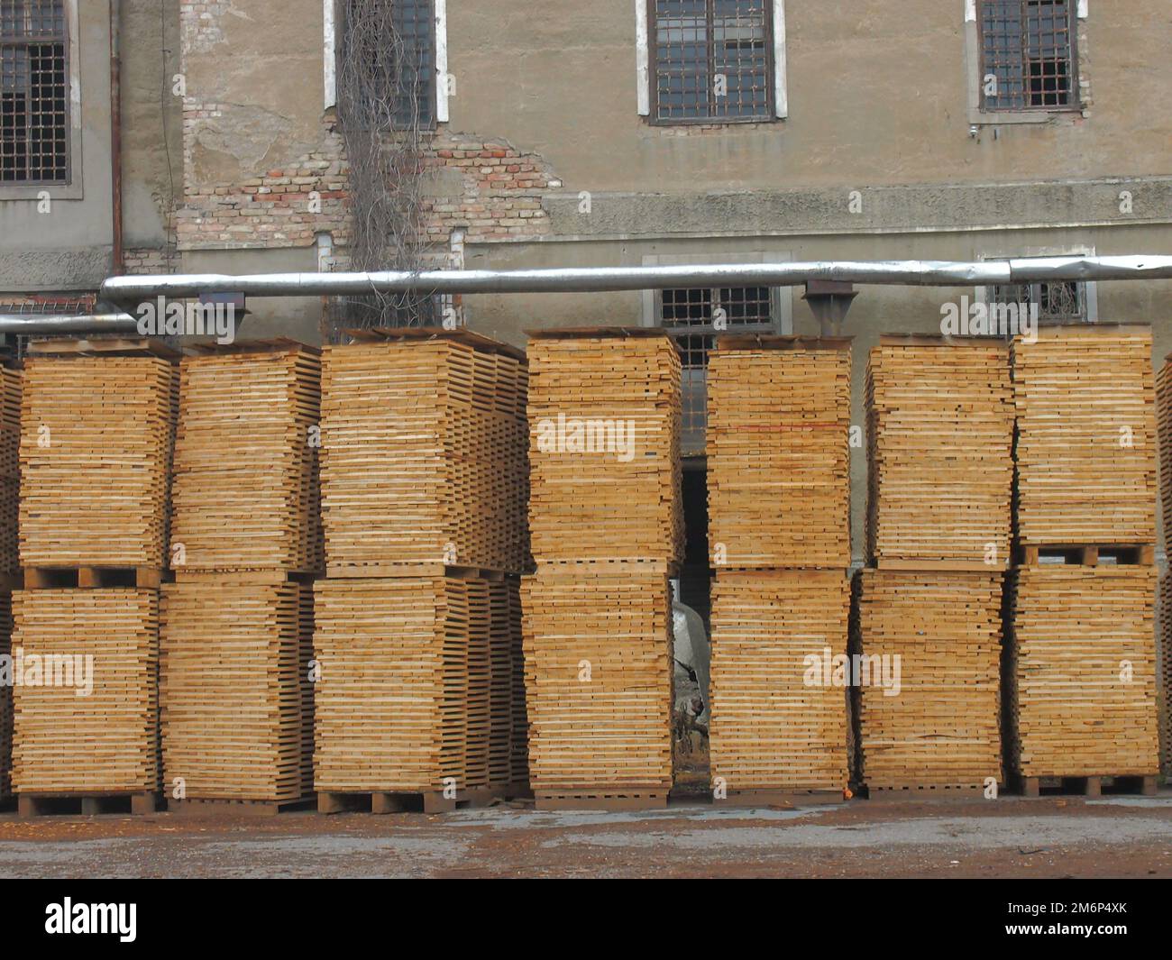 Planches d'arbre dans une usine Banque D'Images
