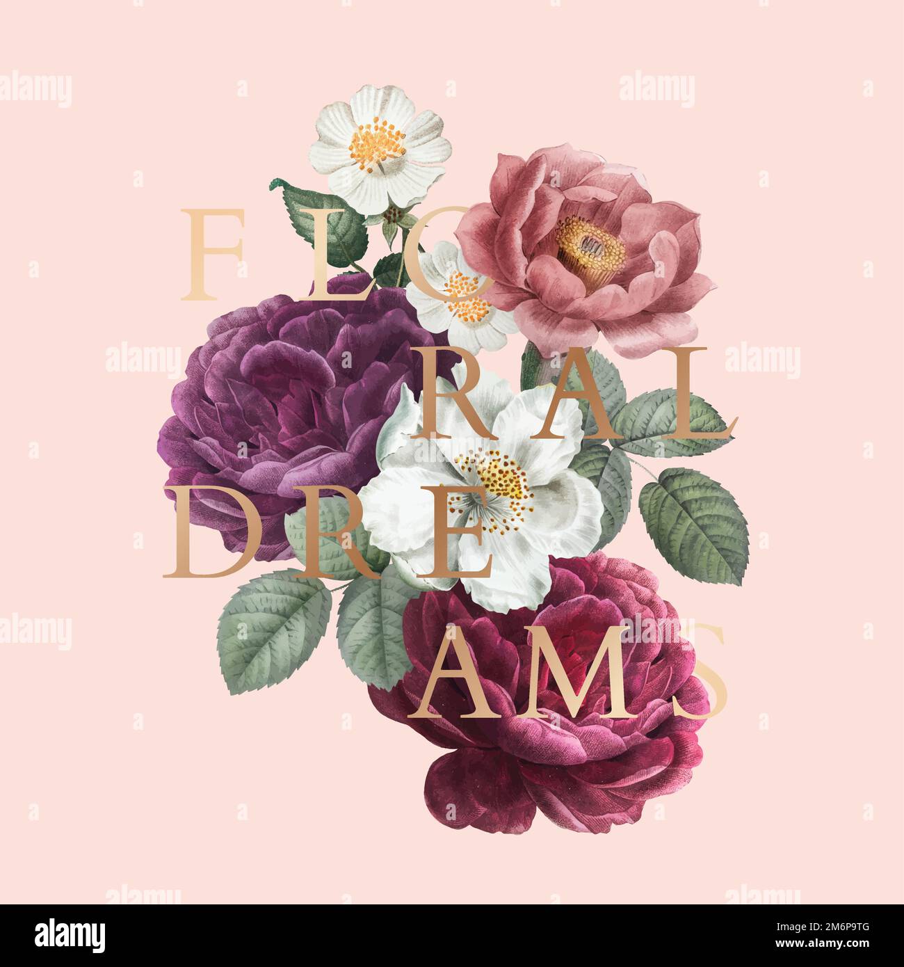 Romantique floral rêves rose dessin vecteur Illustration de Vecteur