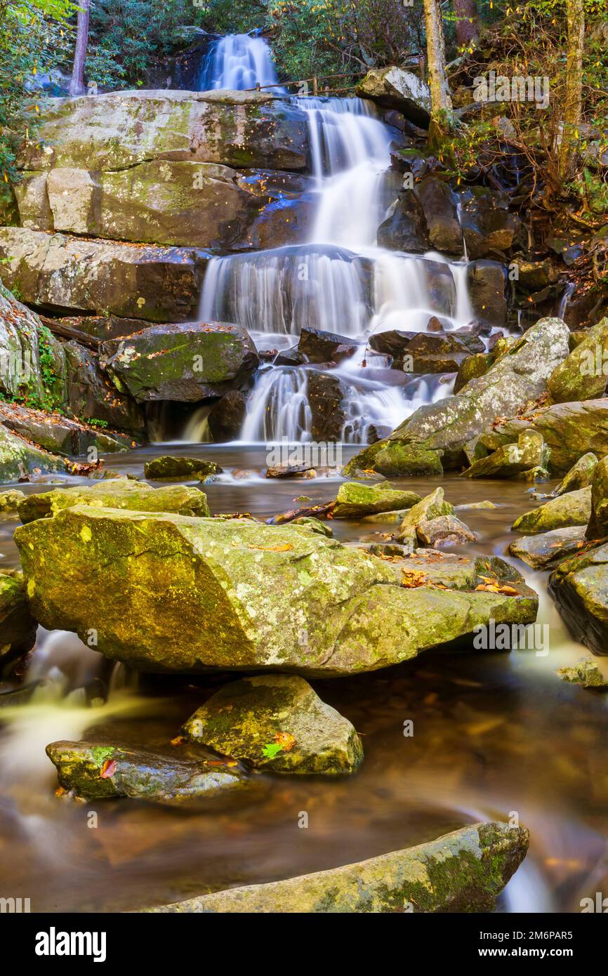 Laurel Falls dans la région de Great Smoky Mountains National Park, Texas Banque D'Images