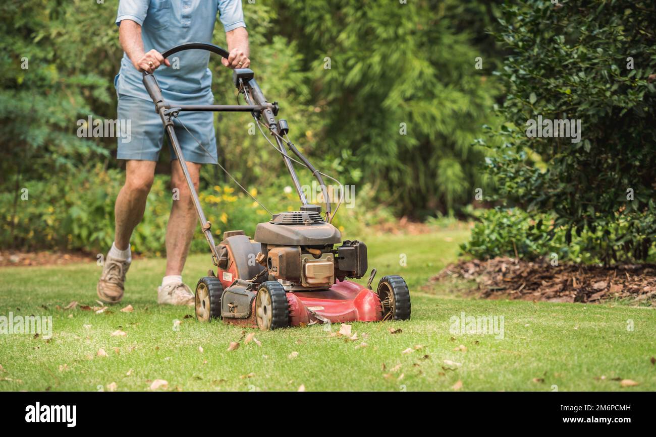 Homme paysagiste coupant de l'herbe d'arrière-cour avec une tondeuse à gaz. Fauchage d'une pelouse résidentielle avec une tondeuse à pousser. Banque D'Images