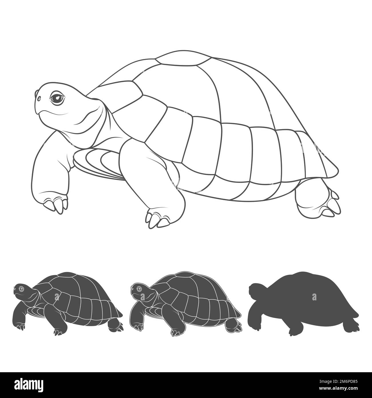 Jeu d'illustrations noir et blanc avec tortue. Objets vectoriels isolés sur fond blanc. Illustration de Vecteur