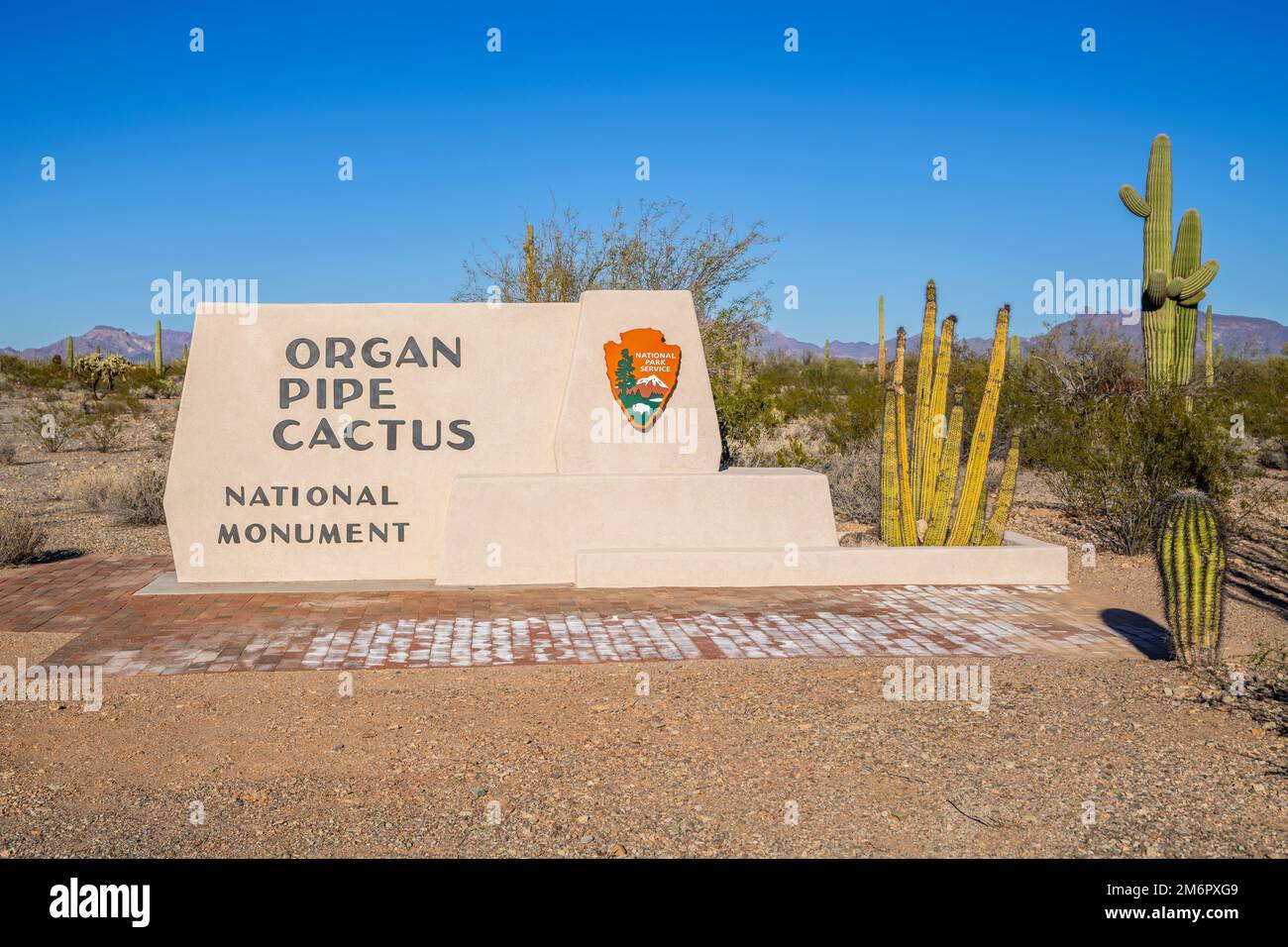 Une route d'entrée allant à Organ Pipe NM, Arizona Banque D'Images