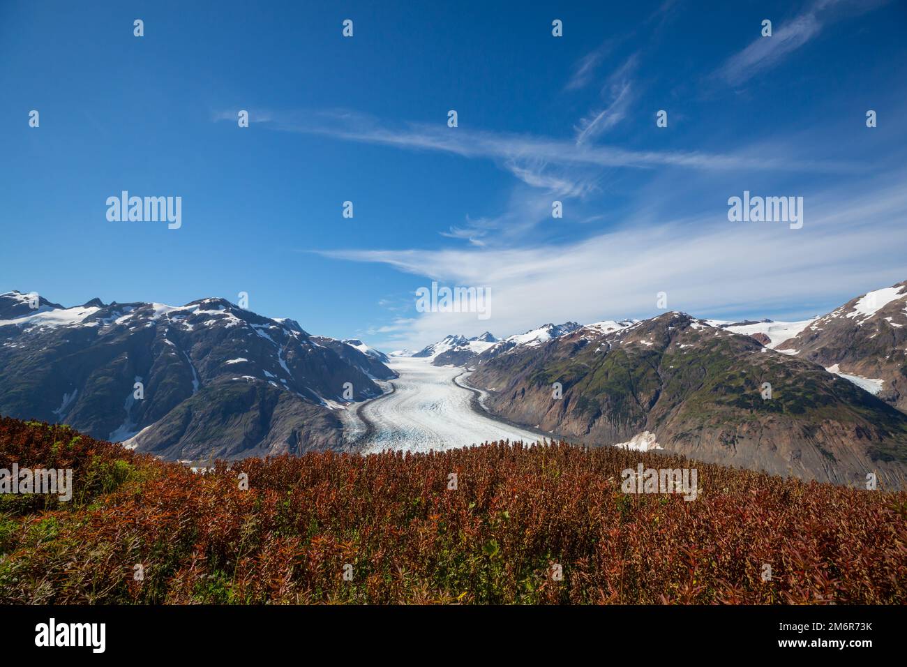 Glacier de saumon Banque D'Images