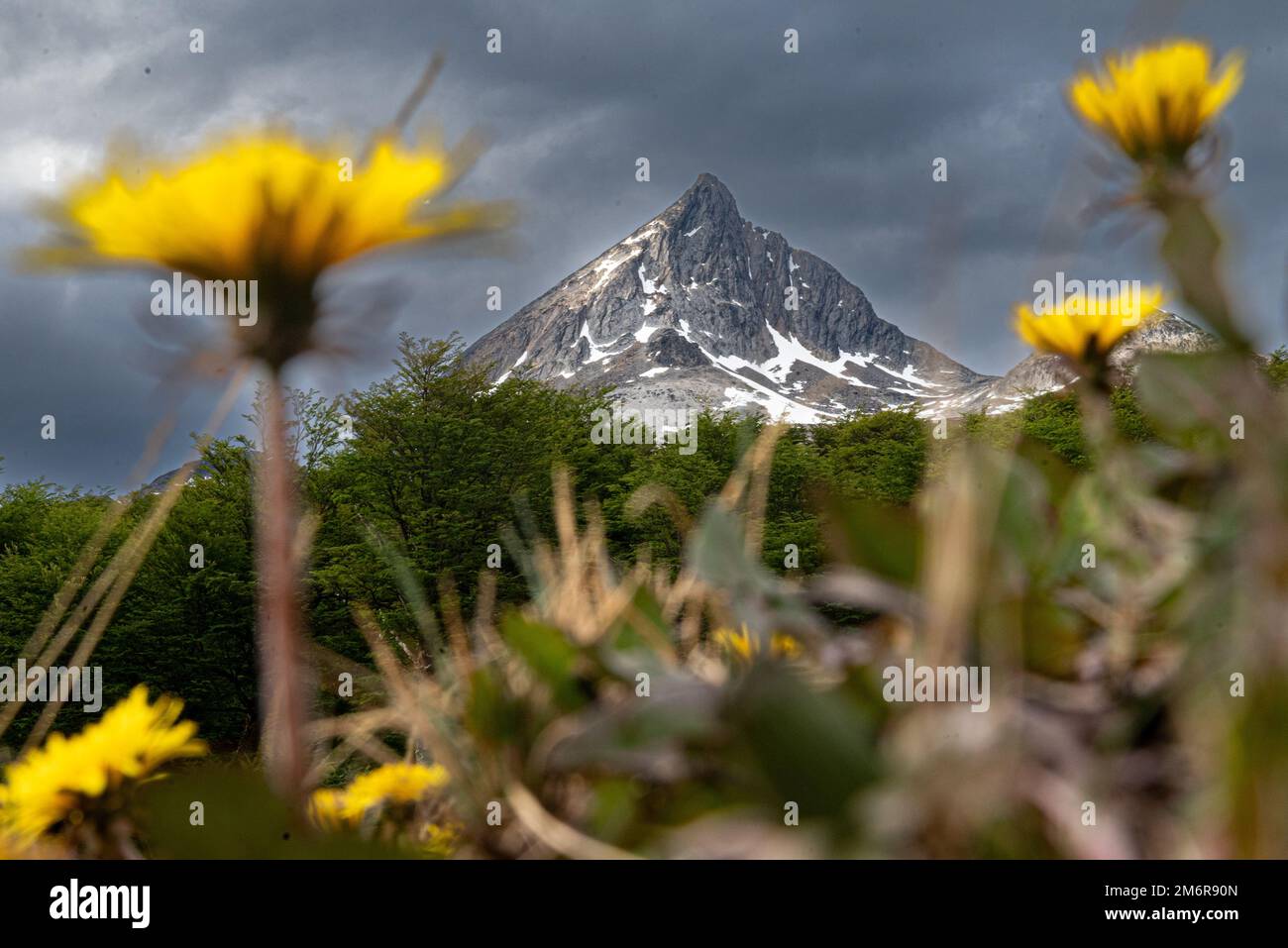 Montagne dans Valle Carbajal Ushuaia Argentine Banque D'Images