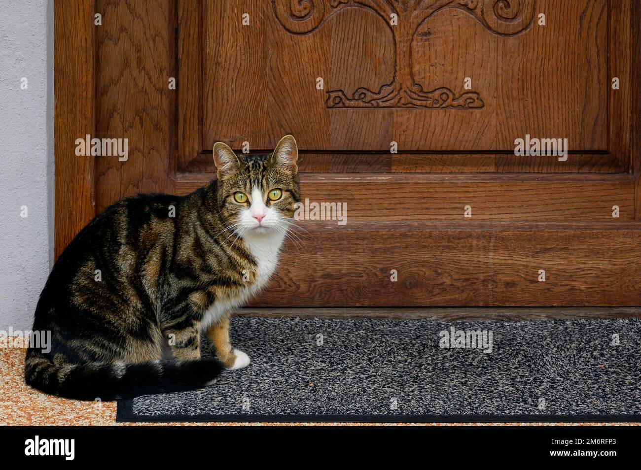 Assis devant la porte Banque de photographies et d'images à haute  résolution - Alamy