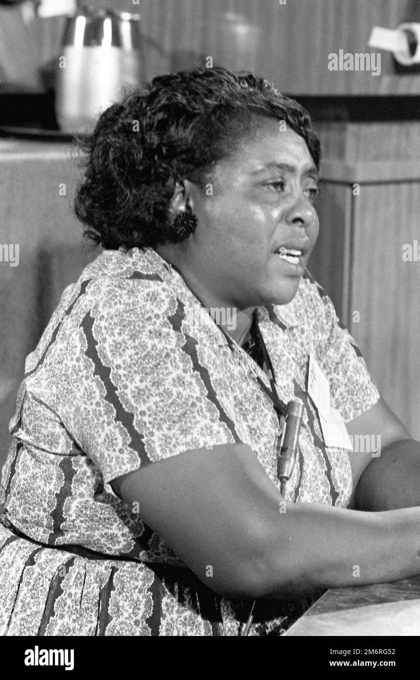Fannie Lou Hamer (née Townsend; 1917-1977), portrait du chef américain des droits civils à la convention démocratique de 1964 : Warren K. Leffler Banque D'Images