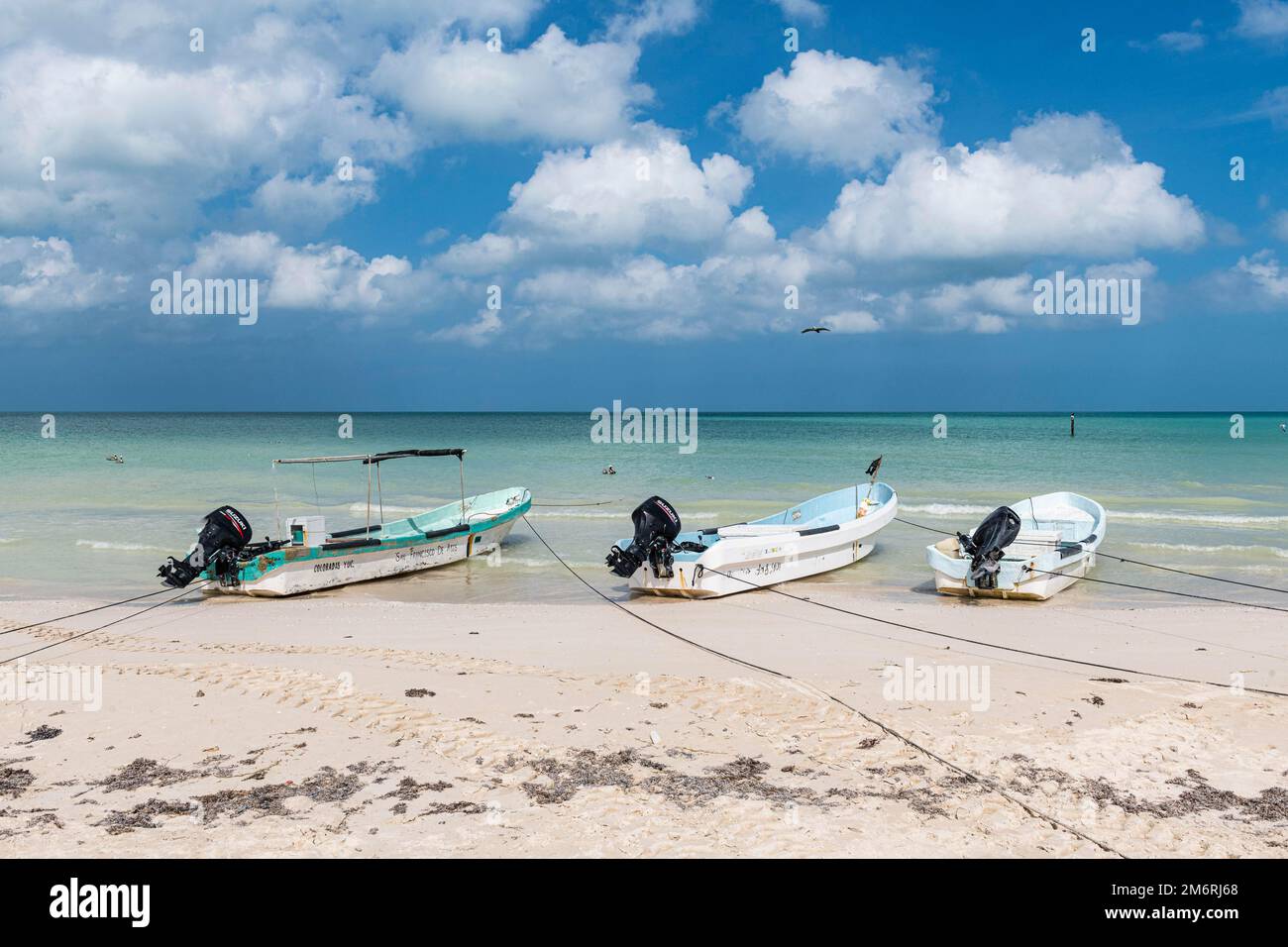 Bateaux de pêche à Las Coloradas, Yucatan, Mexique Banque D'Images