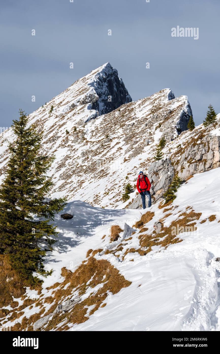 Randonneurs sur un sentier de randonnée en hiver, chemin d'Ammergauer Hochplatte, Alpes d'Ammergau, Bavière, Allemagne Banque D'Images