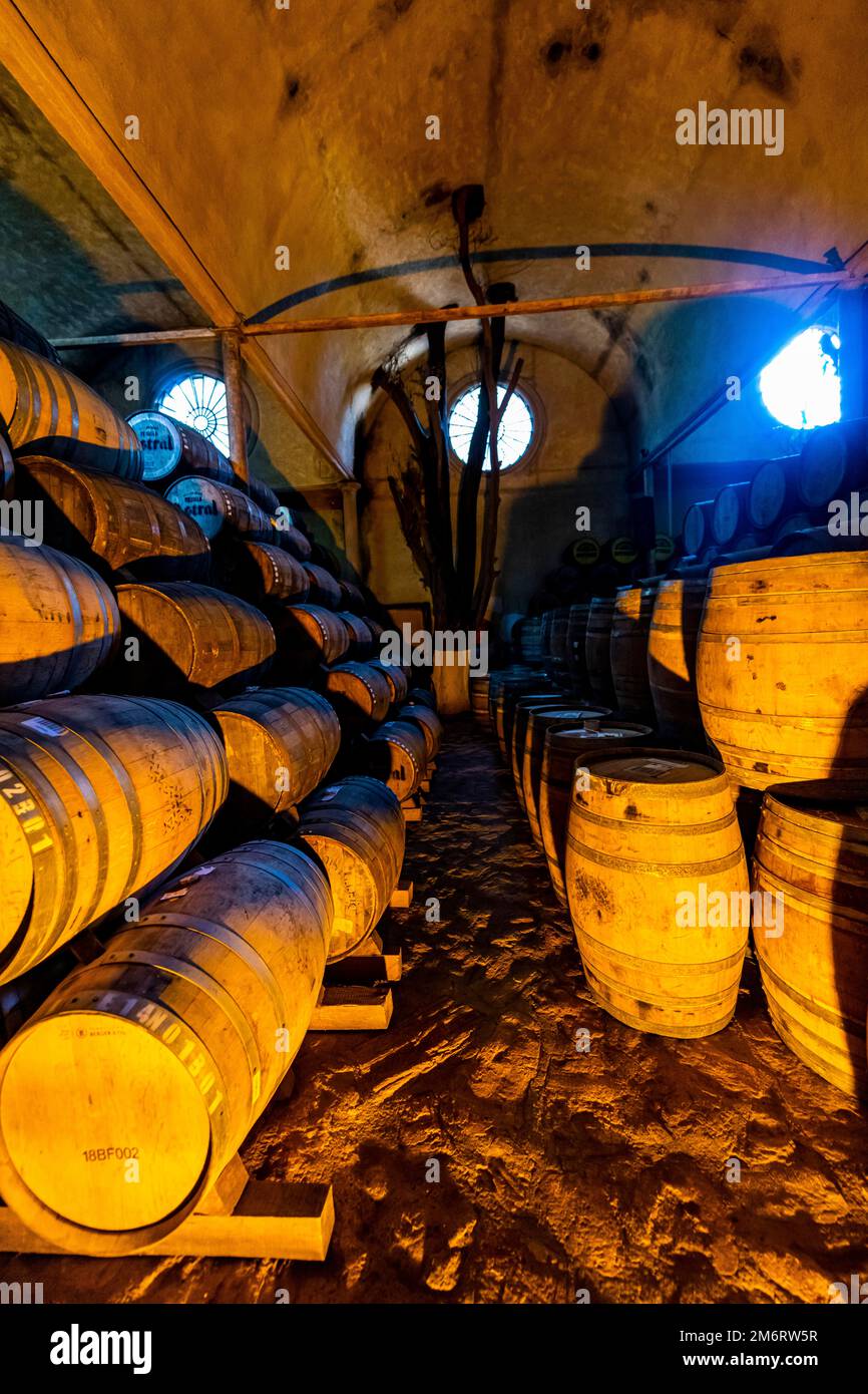 Ancienne installation de stockage des barils de Tequila, usine de Tequila la Cofradia, site de l'UNESCO Tequila, Jalisco, Mexique Banque D'Images