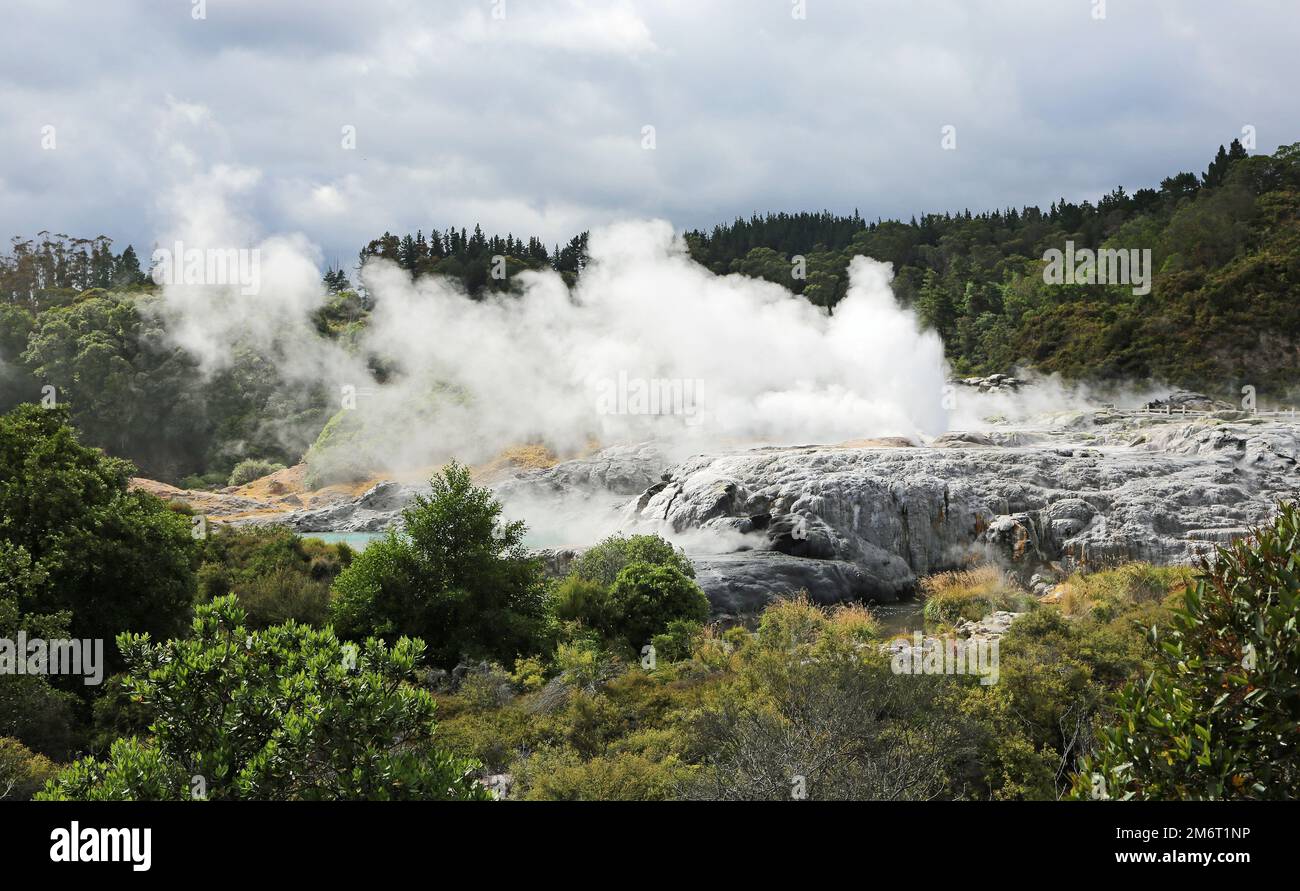 Geysers avant éruption, Nouvelle-Zélande Banque D'Images