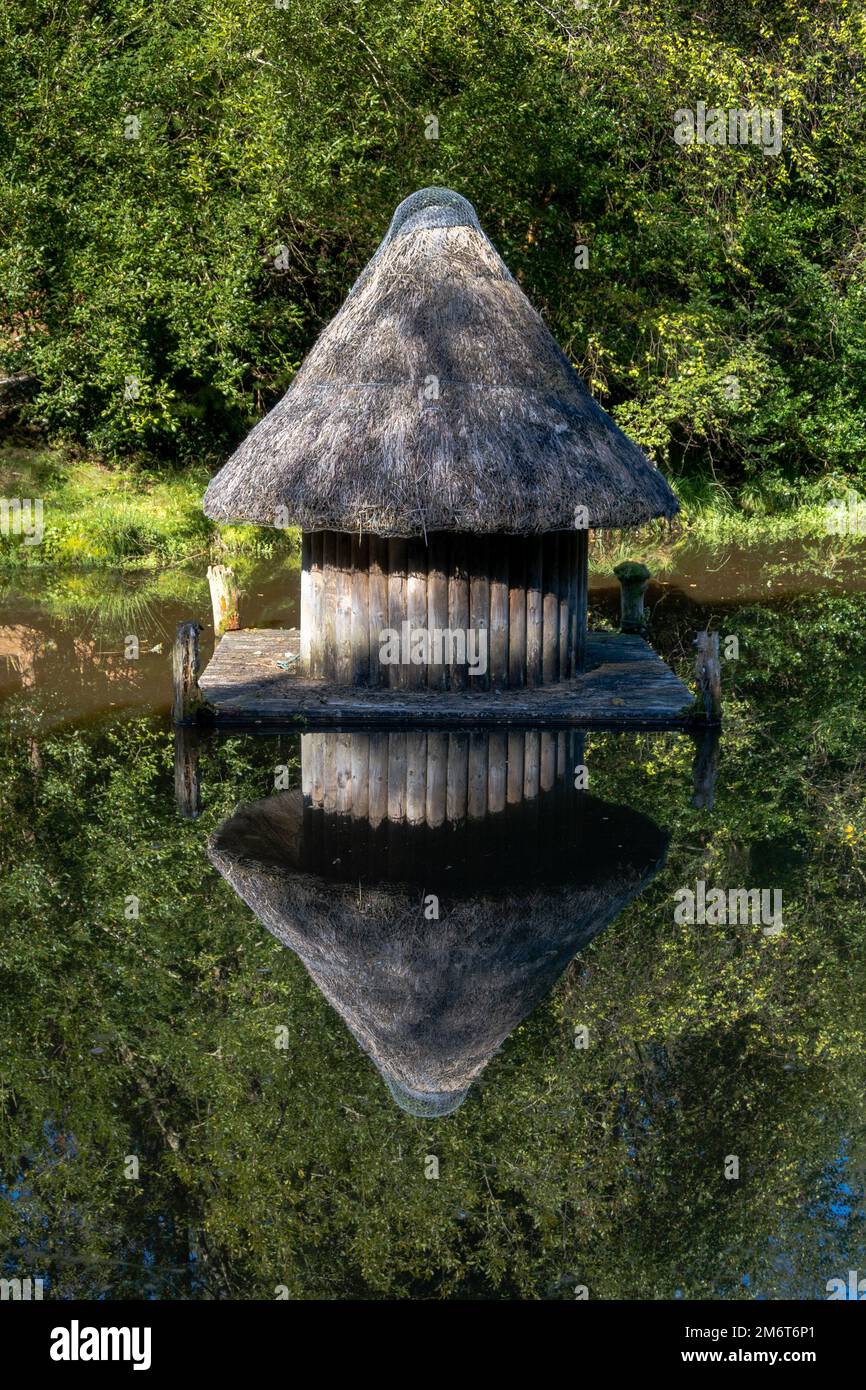 Vue sur un petit Crannog irlandais reconstruit dans le parc du patrimoine de Bonane Banque D'Images