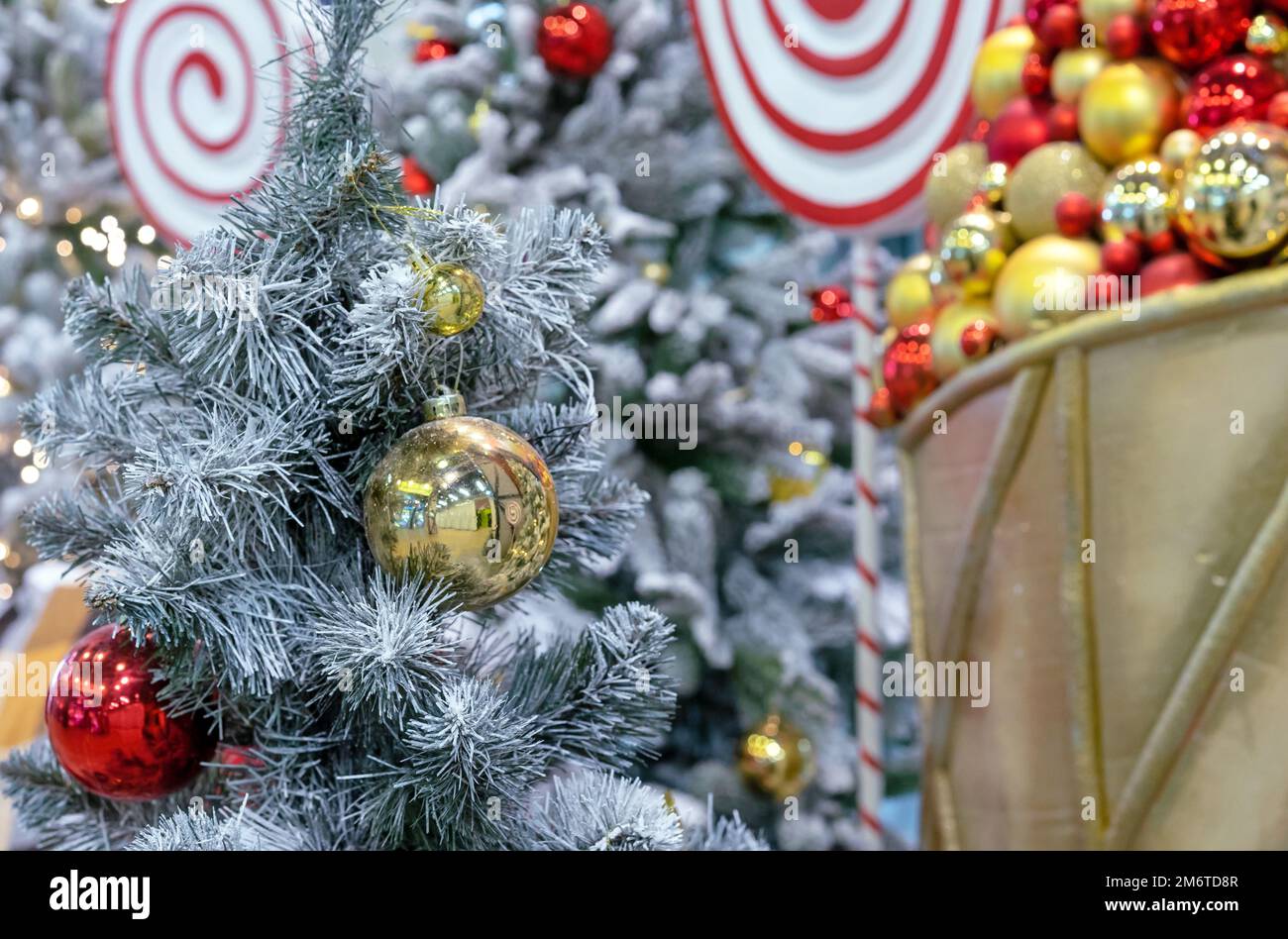 Arbres de Noël enneigés décorés de boules de Noël jaunes et rouges. Banque D'Images