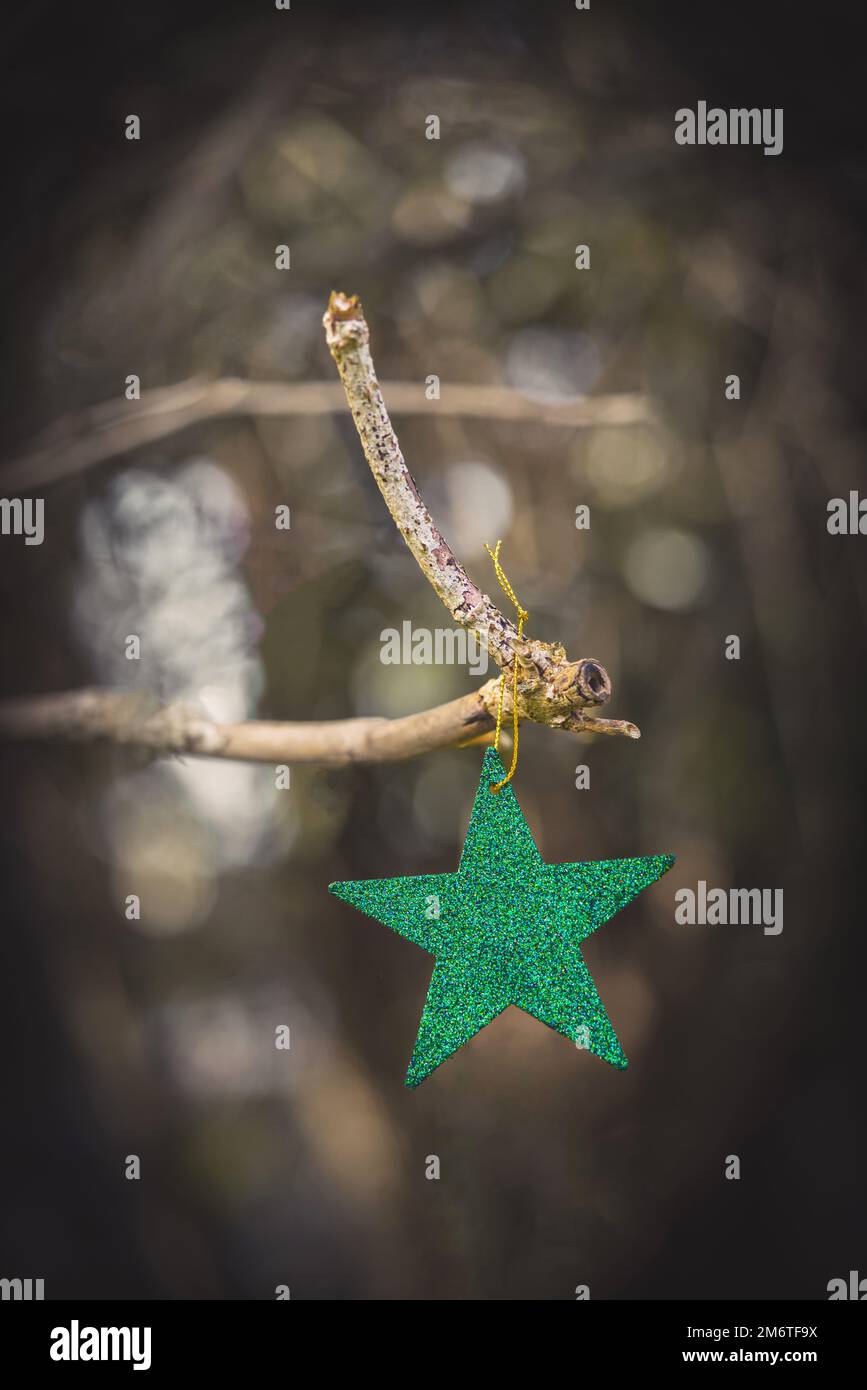 Décoration d'extérieur d'étoile de Noël verte sur une branche d'arbre Banque D'Images