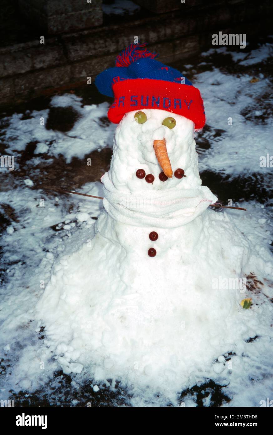 Petit bonhomme de neige avec chapeau d'hiver et écharpe et raisins pour les yeux, baies pour boutons et bouche et Carrot pour nez Surrey Angleterre Banque D'Images