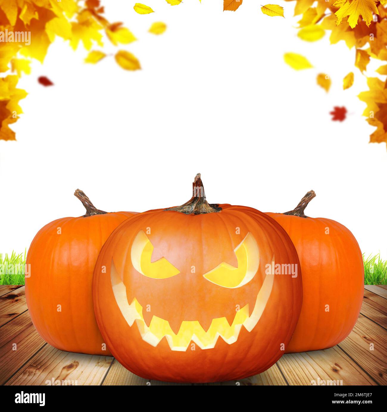 Vecteurs et illustrations de Fond ecran citrouille automne en
