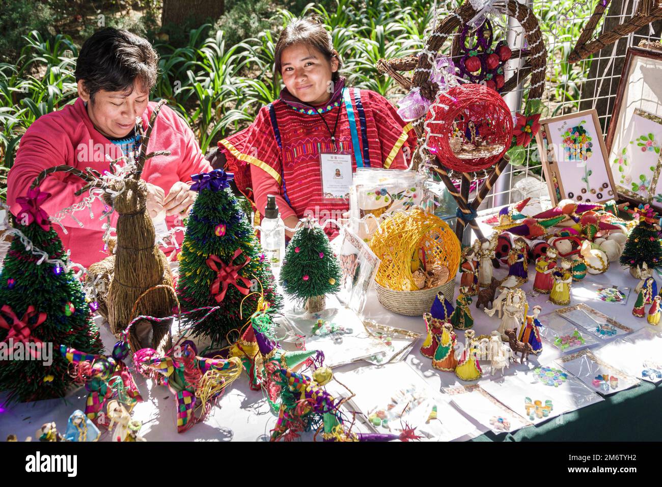 Mexico,Juarez Cuauhtemoc Avenida Paseo de la Reforma,Noël vacances marché artisanal mercado artesanal,miniature arbre de Noël arbres,femme WO Banque D'Images