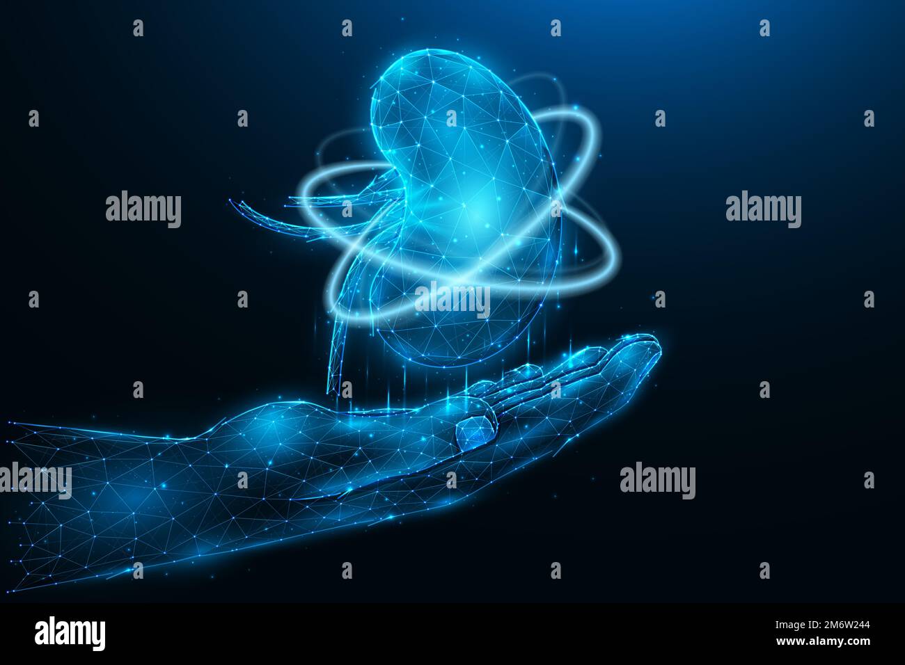 Illustration vectorielle polygonale d'une main avec un rein humain. Récupération rénale. Concept de don d'organes. Bannière médicale, modèle o Banque D'Images