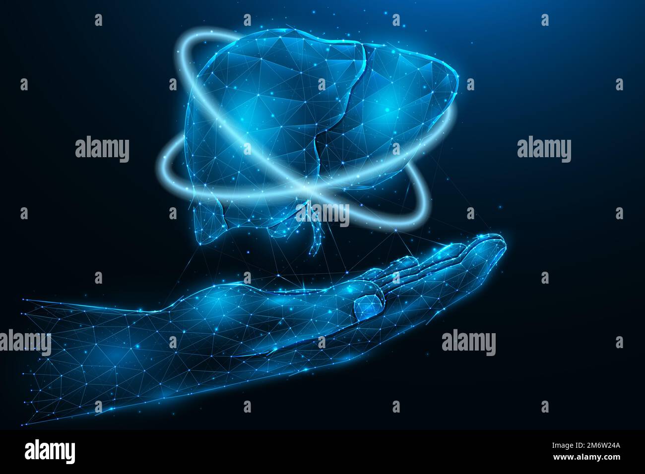 Illustration vectorielle polygonale d'une main avec un foie humain. Récupération du foie. Concept de don d'organes. Bannière médicale, modèle ou Banque D'Images