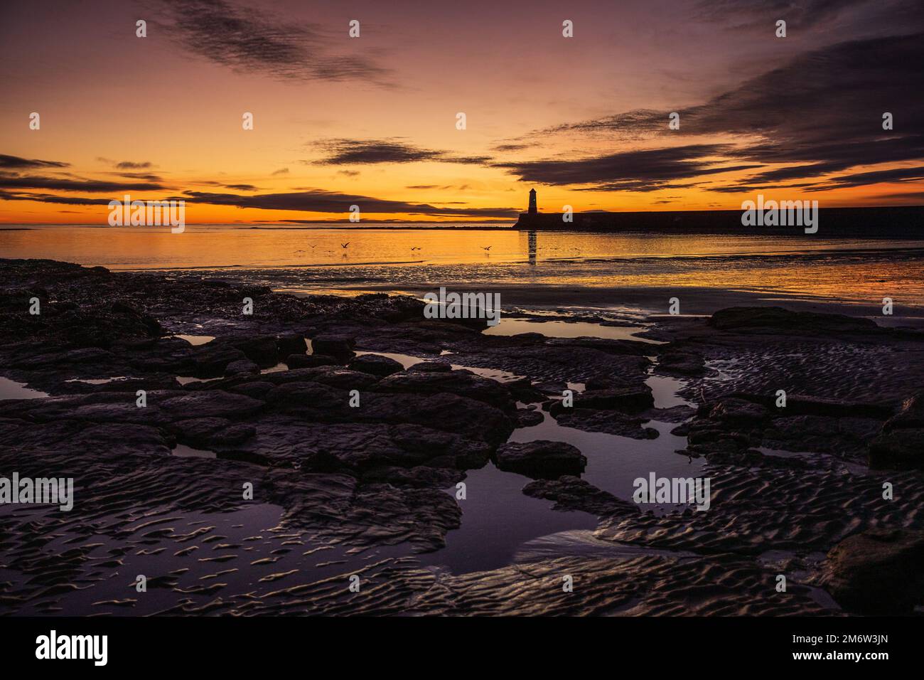 Berwick Pier lorsque le soleil se lève un matin de janvier. Northumberland, Angleterre, Royaume-Uni Banque D'Images