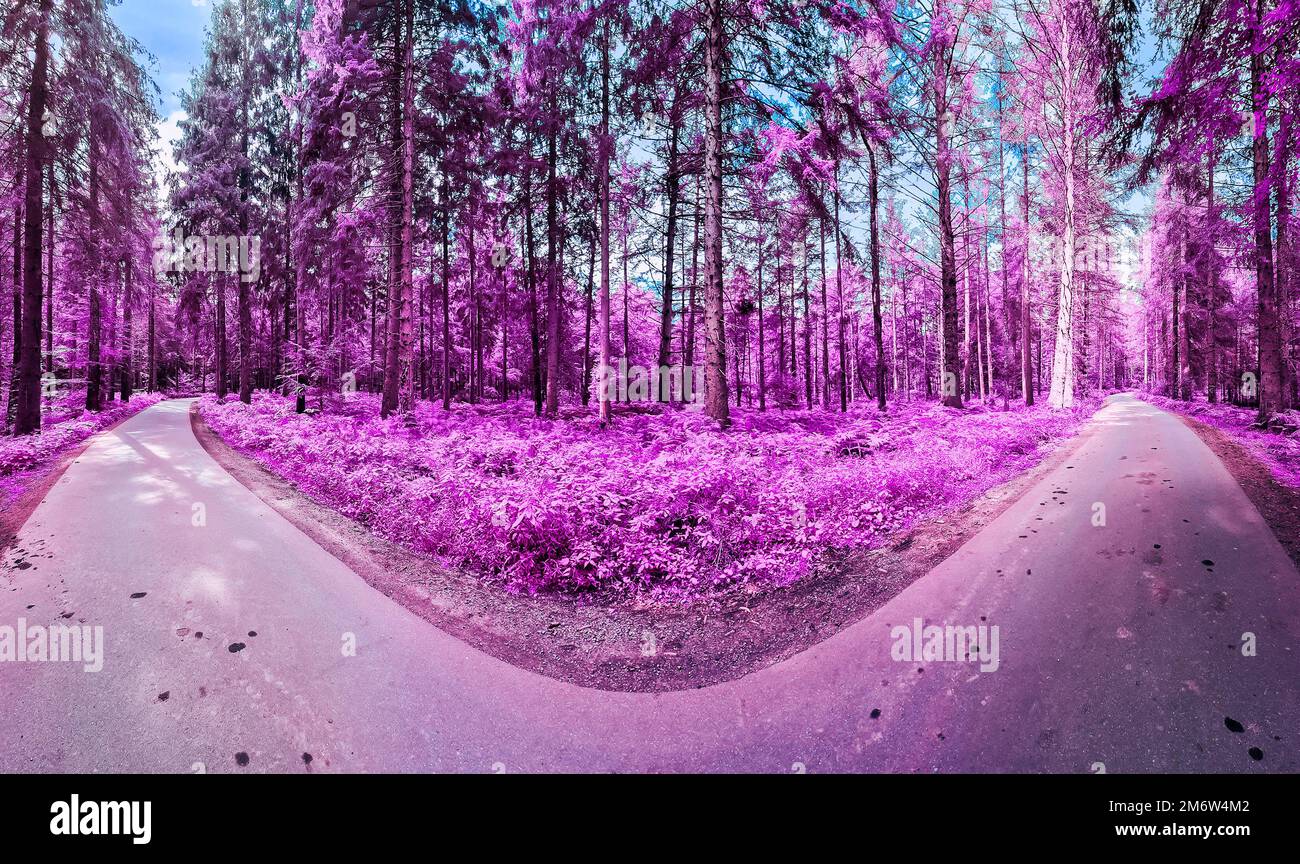 Magnifique panorama infrarouge rose et violet d'un paysage de campagne avec un ciel bleu. Banque D'Images