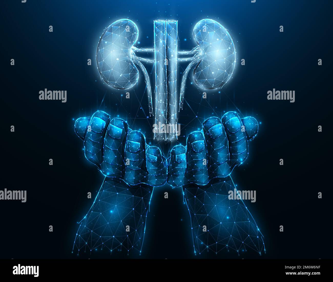 Illustration vectorielle polygonale d'une main avec des reins humains. Concept de don d'organes. Bannière médicale, modèle ou arrière-plan. Banque D'Images