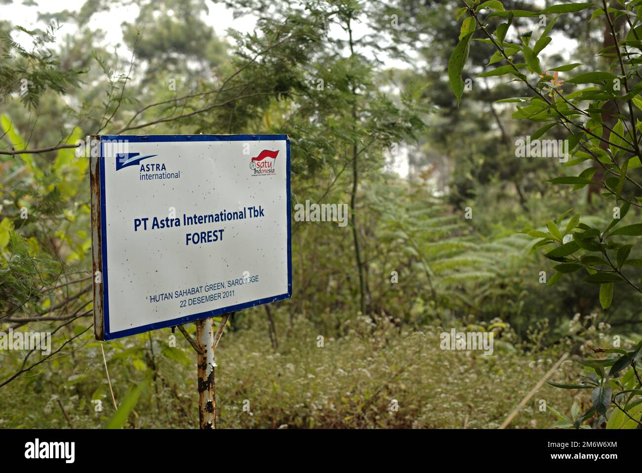 Une signalisation pour marquer une zone allouée à la plantation d'arbres adoptée par une société dans le cadre d'un programme d'adoption d'arbres quelques années plus tôt, dans le cadre d'un projet de reboisement à l'intérieur du parc national du Mont Gede Pangrango, à West Java, en Indonésie; photographiée pendant le festival de Sarongge de 2015. Banque D'Images