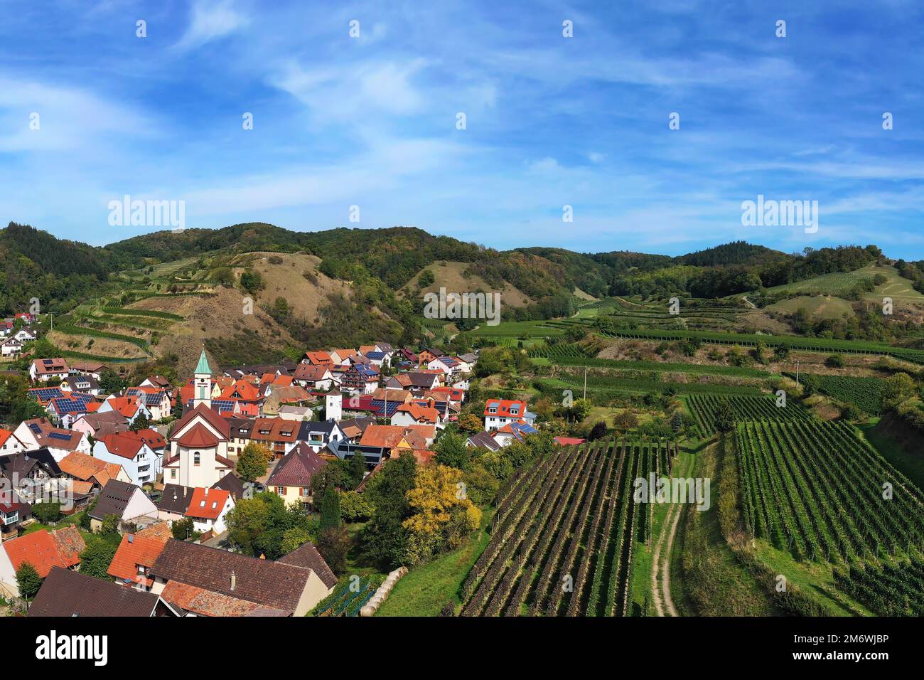 Vue aérienne de Schelingen am Kaiserstuhl donnant sur les vignobles. Schelingen, Vogtsburg am Kaisers Banque D'Images