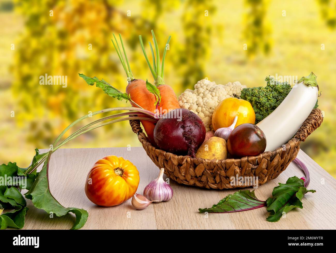 Récolte fraîchement botte. Légumes frais de la ferme dans un panier en osier. Aliments biologiques sains, carottes crues, betteraves, pommes de terre et tomates Banque D'Images