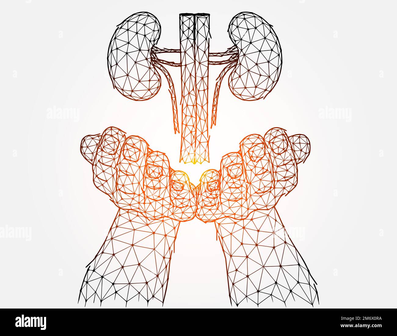 Illustration vectorielle polygonale d'une main avec des reins humains. Concept de don d'organes. Banque D'Images
