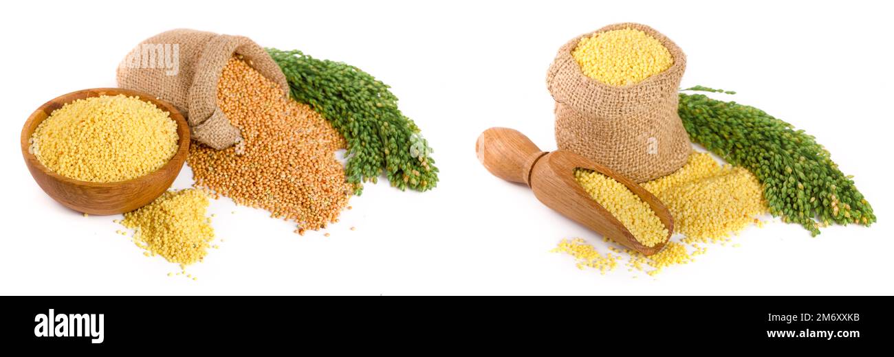 Millet dans un bol en bois, sac de toile et d'épillets vert isolé sur fond blanc Banque D'Images